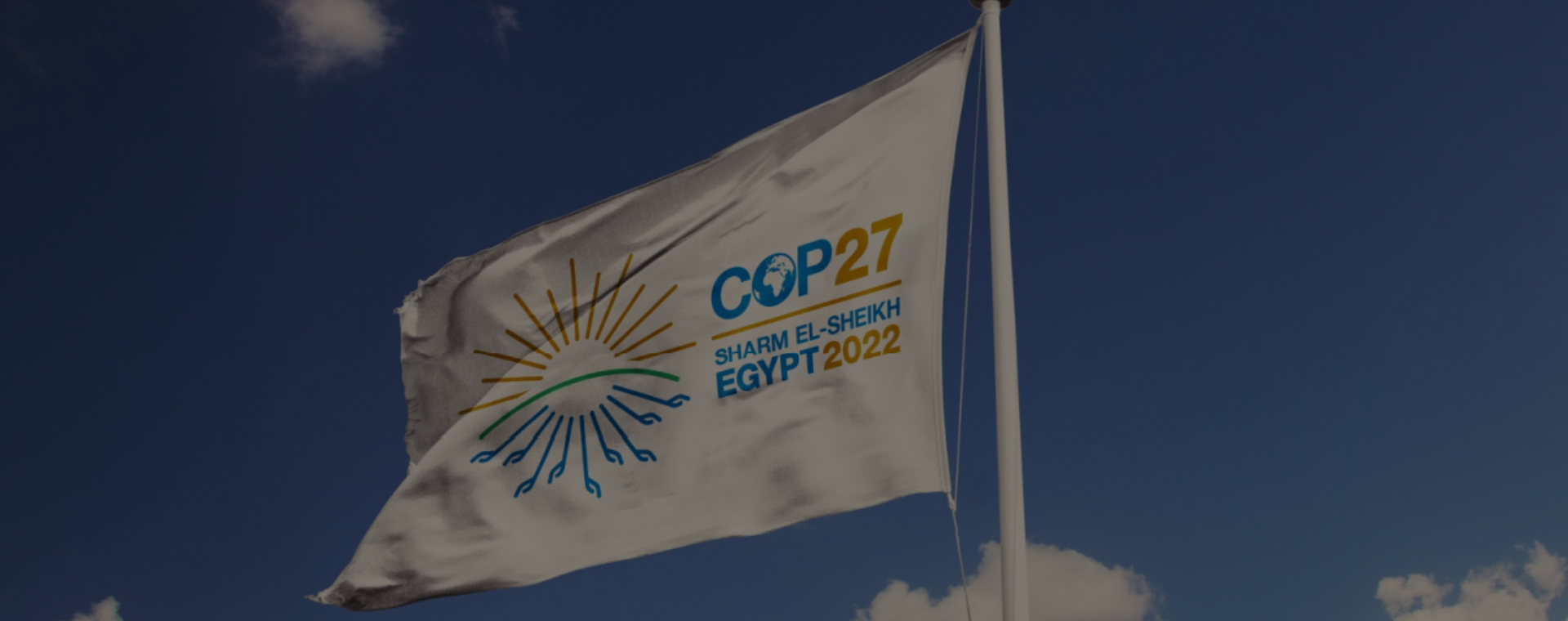 Las transformaciones las hacemos desde adentro: jóvenes en la COP 27